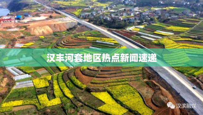 汉丰河套地区热点新闻速递