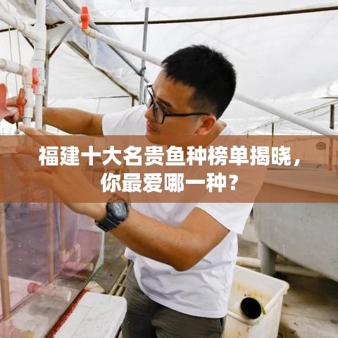 福建十大名贵鱼种榜单揭晓，你最爱哪一种？
