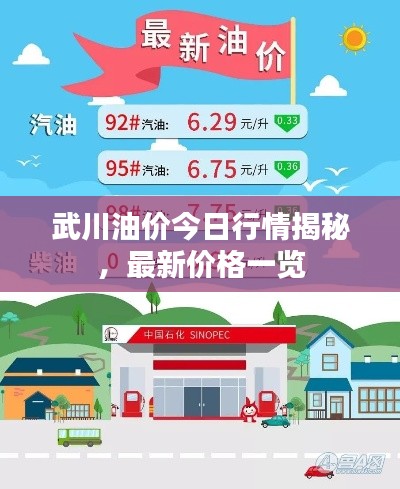 武川油价今日行情揭秘，最新价格一览