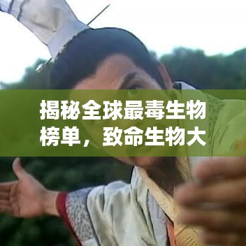 揭秘全球最毒生物榜单，致命生物大揭秘！