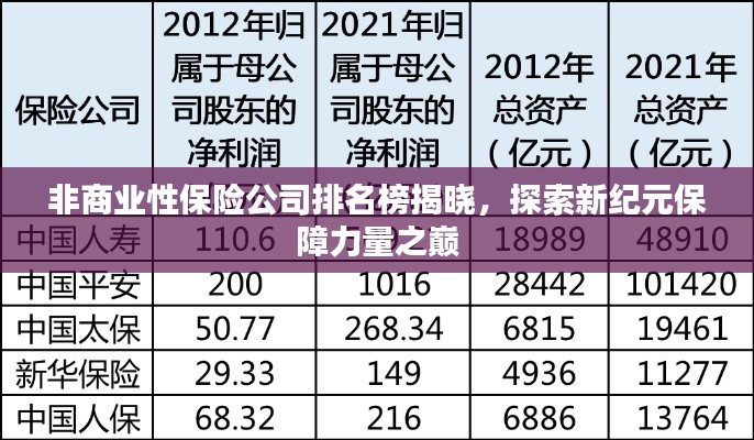 非商业性保险公司排名榜揭晓，探索新纪元保障力量之巅