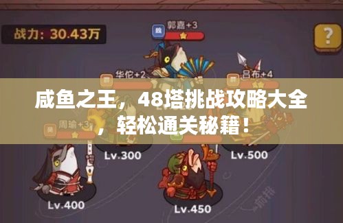 咸鱼之王，48塔挑战攻略大全，轻松通关秘籍！