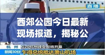 西郊公园今日最新现场报道，揭秘公园最新动态与美景
