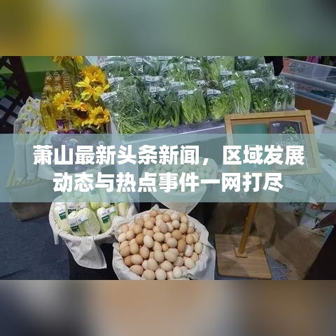 萧山最新头条新闻，区域发展动态与热点事件一网打尽