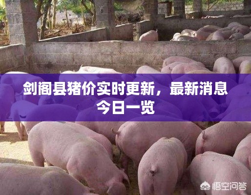 剑阁县猪价实时更新，最新消息今日一览