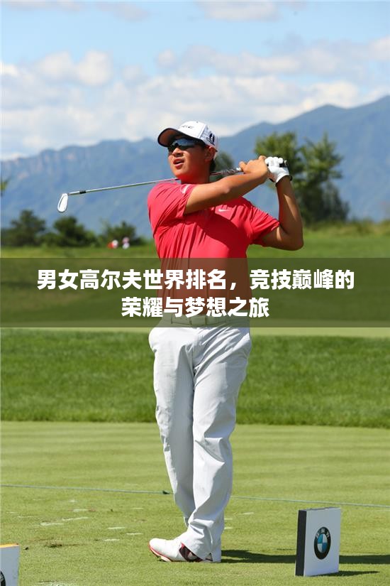 男女高尔夫世界排名，竞技巅峰的荣耀与梦想之旅
