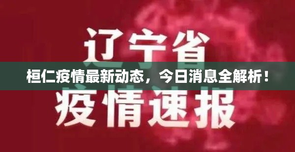 桓仁疫情最新动态，今日消息全解析！