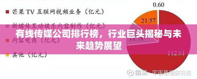 有线传媒公司排行榜，行业巨头揭秘与未来趋势展望