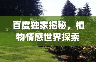 百度独家揭秘，植物情感世界探索之旅！