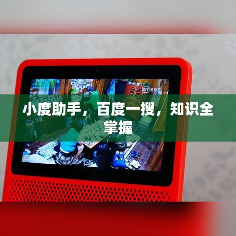 小度助手，百度一搜，知识全掌握