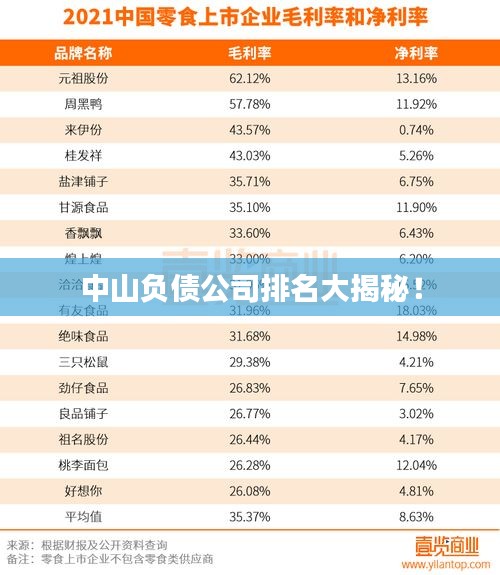 中山负债公司排名大揭秘！