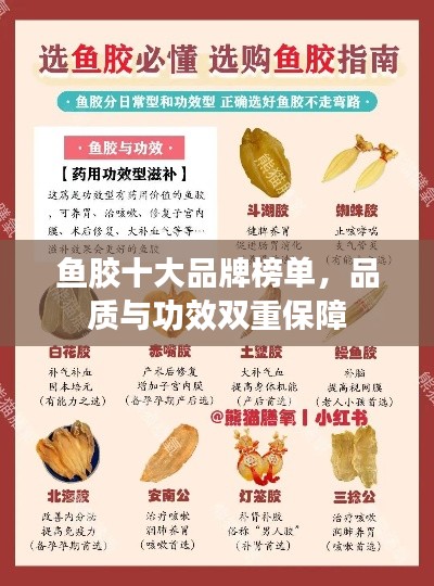鱼胶十大品牌榜单，品质与功效双重保障