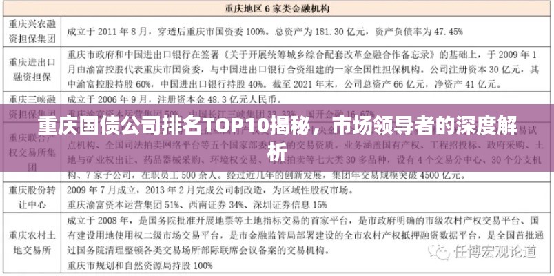 重庆国债公司排名TOP10揭秘，市场领导者的深度解析