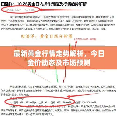 最新黄金行情走势解析，今日金价动态及市场预测