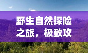 野生自然探险之旅，极致攻略，探寻自然秘境