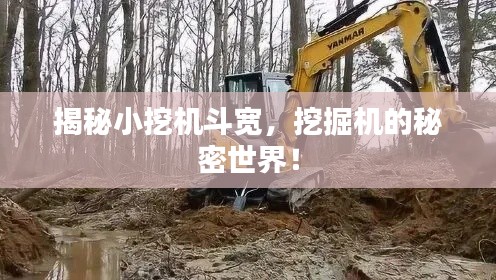 揭秘小挖机斗宽，挖掘机的秘密世界！