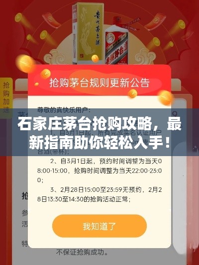 石家庄茅台抢购攻略，最新指南助你轻松入手！