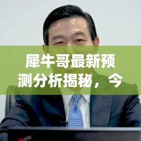 犀牛哥最新预测分析揭秘，今日市场走势独家解读