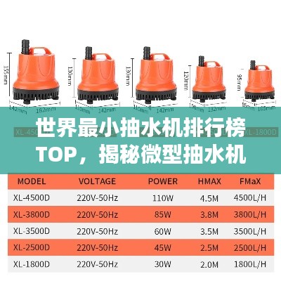 改弦易张