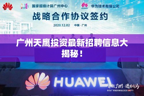 广州天鹰投资最新招聘信息大揭秘！