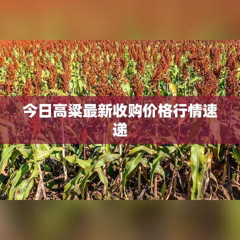 风流倜傥