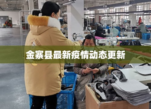 金寨县最新疫情动态更新