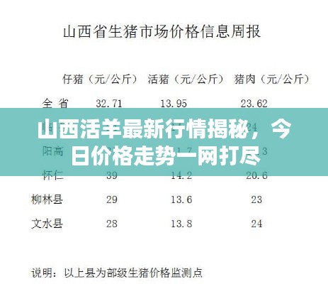 山西活羊最新行情揭秘，今日价格走势一网打尽