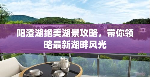 阳澄湖绝美湖景攻略，带你领略最新湖畔风光