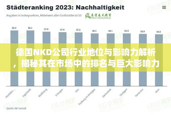 德国NKD公司行业地位与影响力解析，揭秘其在市场中的排名与巨大影响力