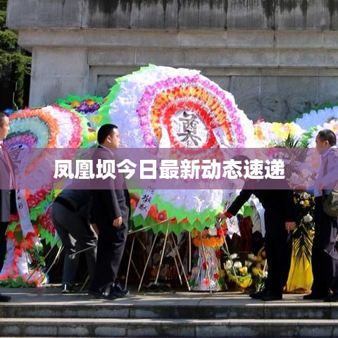 凤凰坝今日最新动态速递