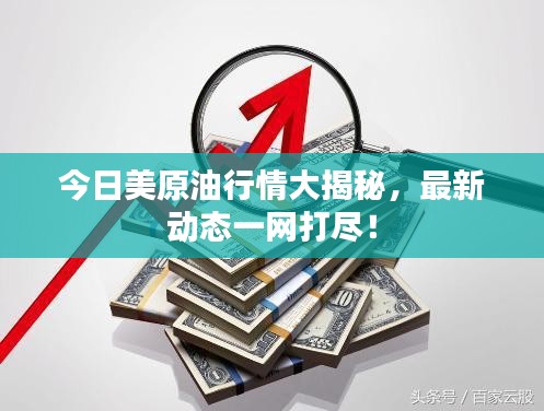 今日美原油行情大揭秘，最新动态一网打尽！