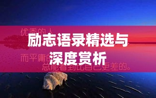 励志语录精选与深度赏析