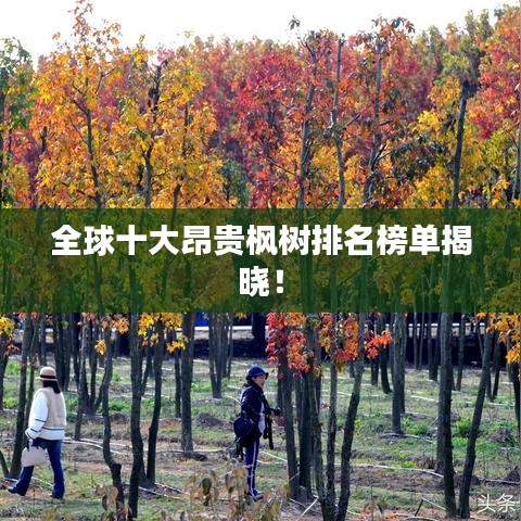 难能可贵