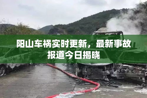 阳山车祸实时更新，最新事故报道今日揭晓