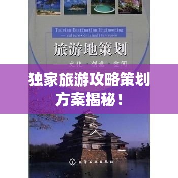 龙飞凤舞
