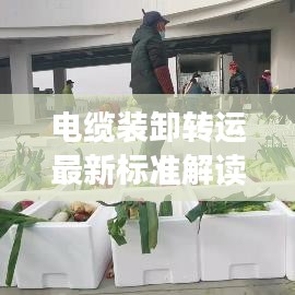 眼张失道