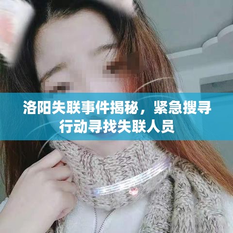 洛阳失联事件揭秘，紧急搜寻行动寻找失联人员