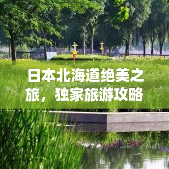 日本北海道绝美之旅，独家旅游攻略