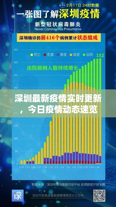 深圳最新疫情实时更新，今日疫情动态速览