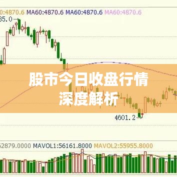 股市今日收盘行情深度解析