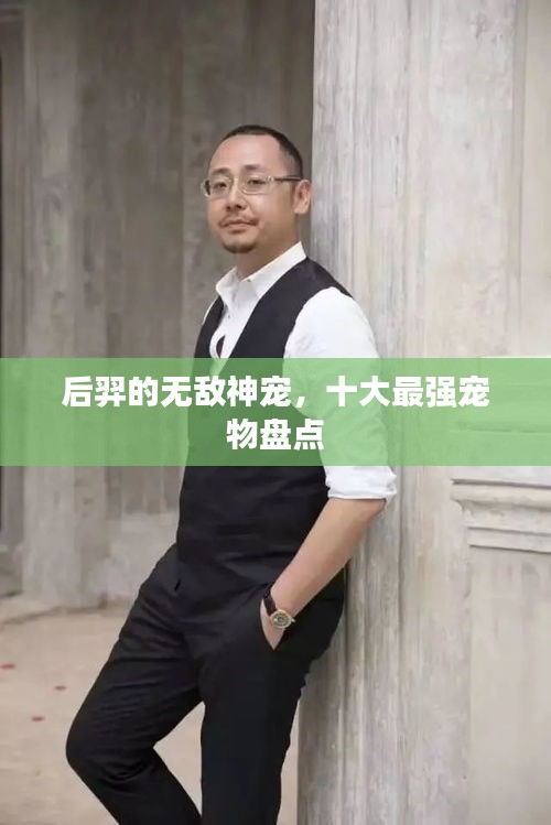 后羿的无敌神宠，十大最强宠物盘点