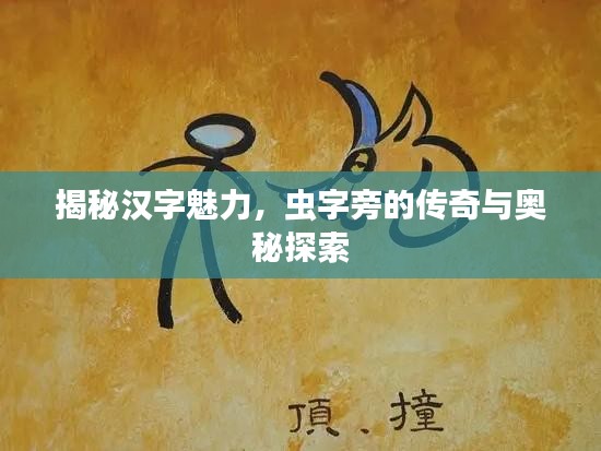 揭秘汉字魅力，虫字旁的传奇与奥秘探索