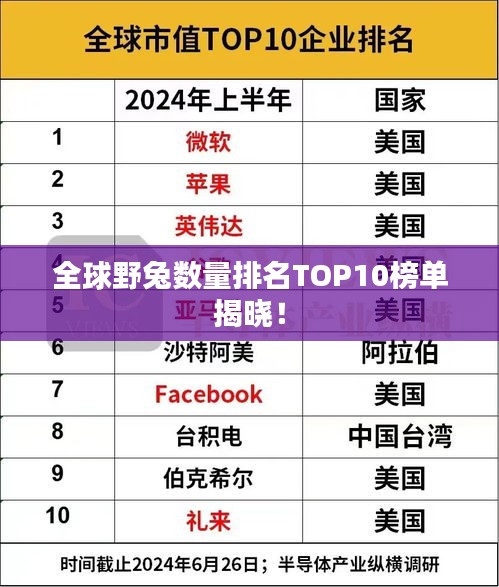 全球野兔数量排名TOP10榜单揭晓！