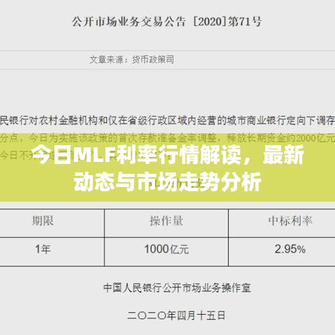 今日MLF利率行情解读，最新动态与市场走势分析