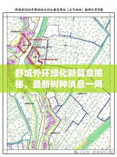 舒城外环绿化新篇章揭秘，最新树种消息一网打尽！