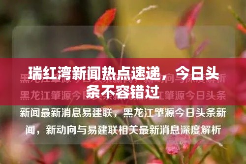 瑞红湾新闻热点速递，今日头条不容错过