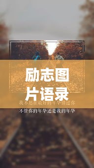 励志图片语录与情感的碰撞交融