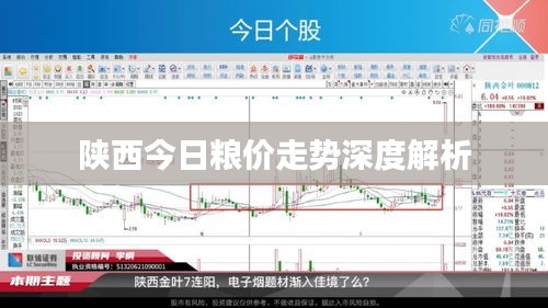 陕西今日粮价走势深度解析
