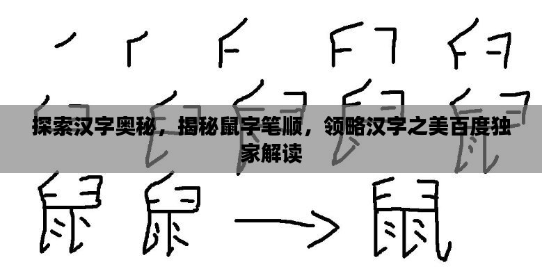 探索汉字奥秘，揭秘鼠字笔顺，领略汉字之美百度独家解读