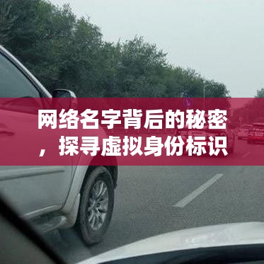 网络名字背后的秘密，探寻虚拟身份标识的奥秘